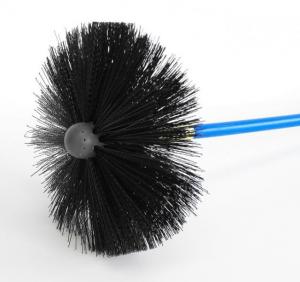 Scorpion Scrub Brush